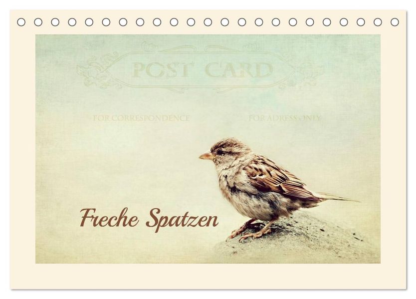 Freche Spatzen (Tischkalender 2027 DIN A5 quer) CALVENDO Monatskalender