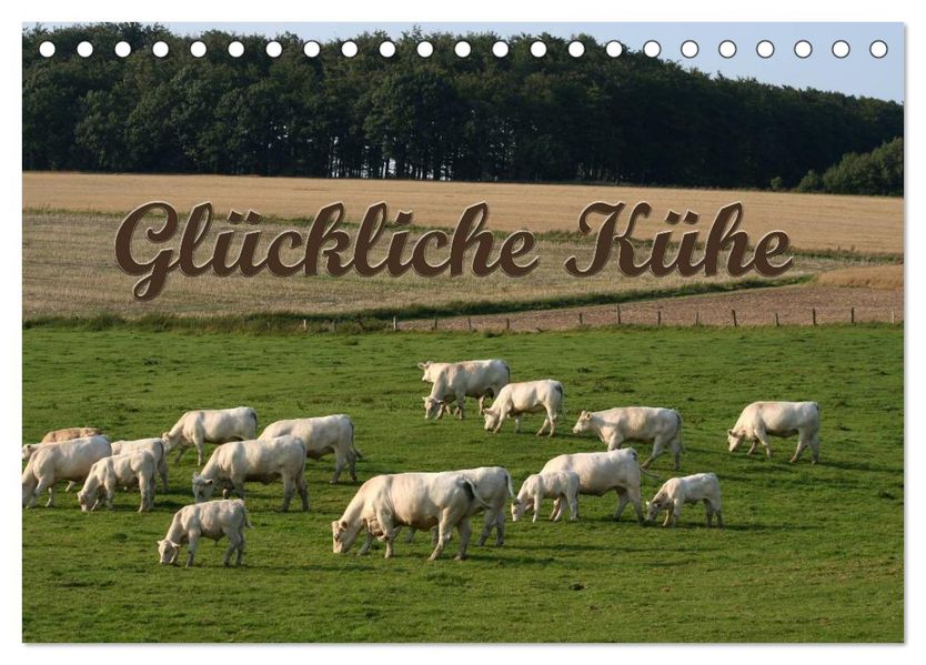 Glückliche Kühe (Tischkalender 2027 DIN A5 quer) CALVENDO Monatskalender