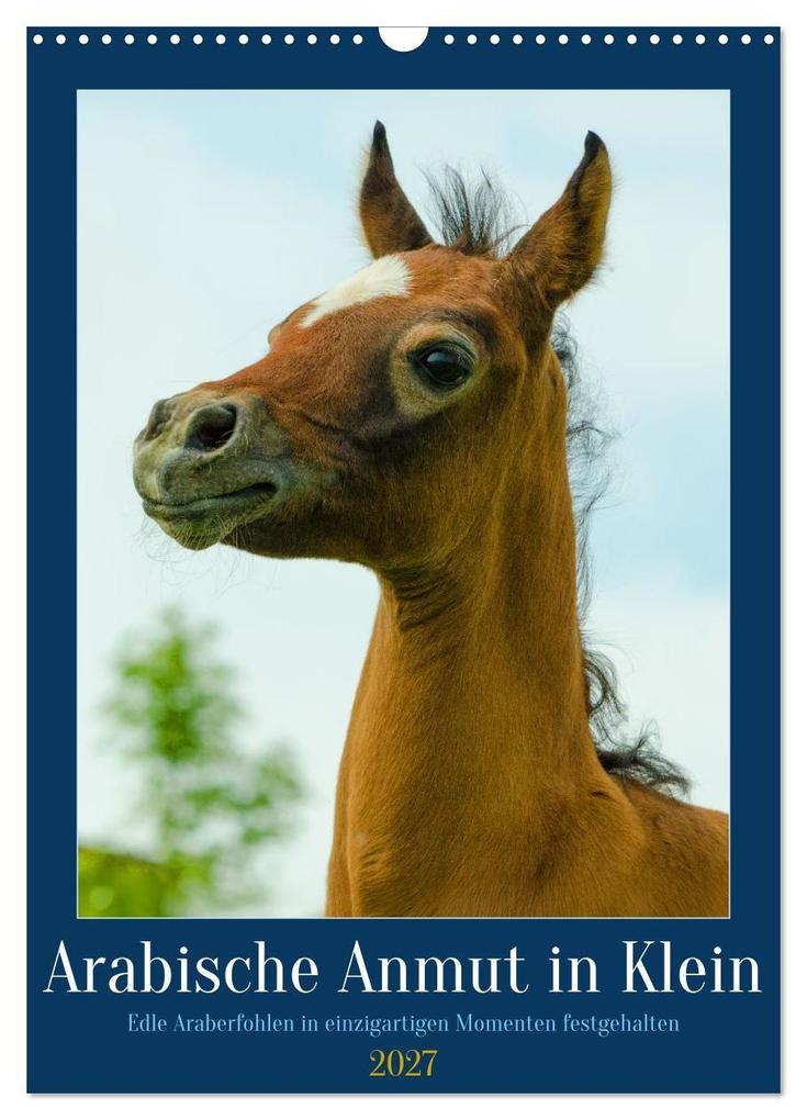 Arabische Anmut in Klein (Wandkalender 2027 DIN A3 hoch) CALVENDO Monatskalender