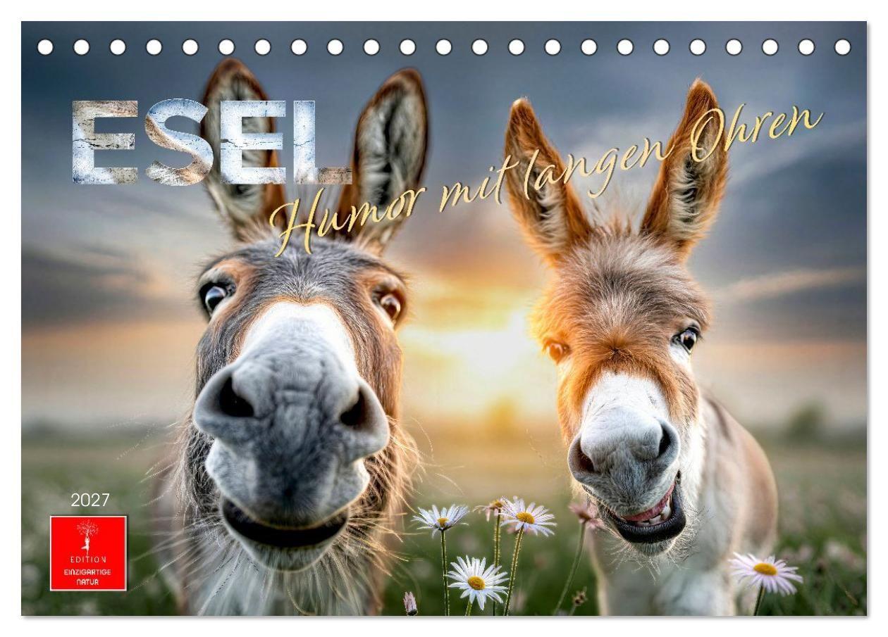 Esel - Humor mit langen Ohren (Tischkalender 2027 DIN A5 quer) CALVENDO Monatskalender