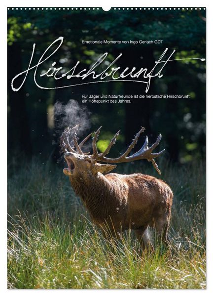 Emotionale Momente: Hirschbrunft (Wandkalender 2027 DIN A2 hoch) CALVENDO Monatskalender