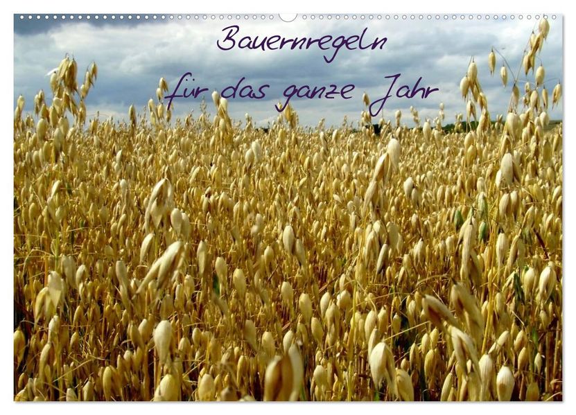 Bauernregeln für das ganze Jahr (Wandkalender 2027 DIN A2 quer) CALVENDO Monatskalender