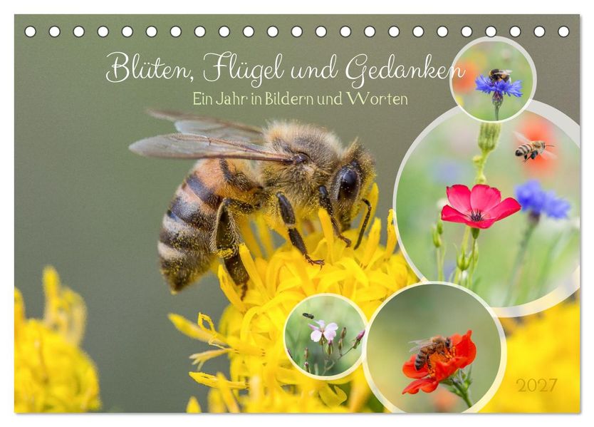 BlütenFlügel und Gedanken - Ein Jahr in Bildern und Worten (Tischkalender 2027 DIN A5 quer) CALVENDO Monatskalender