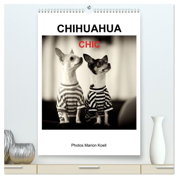 CHIHUAHUA CHIC Photos Marion Koell (hochwertiger Premium Wandkalender 2027 DIN A2 hoch) Kunstdruck in Hochglanz