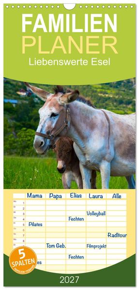 Familienplaner 2027 - Liebenswerte Esel mit 5 Spalten (Wandkalender 21 x 45 cm) CALVENDO