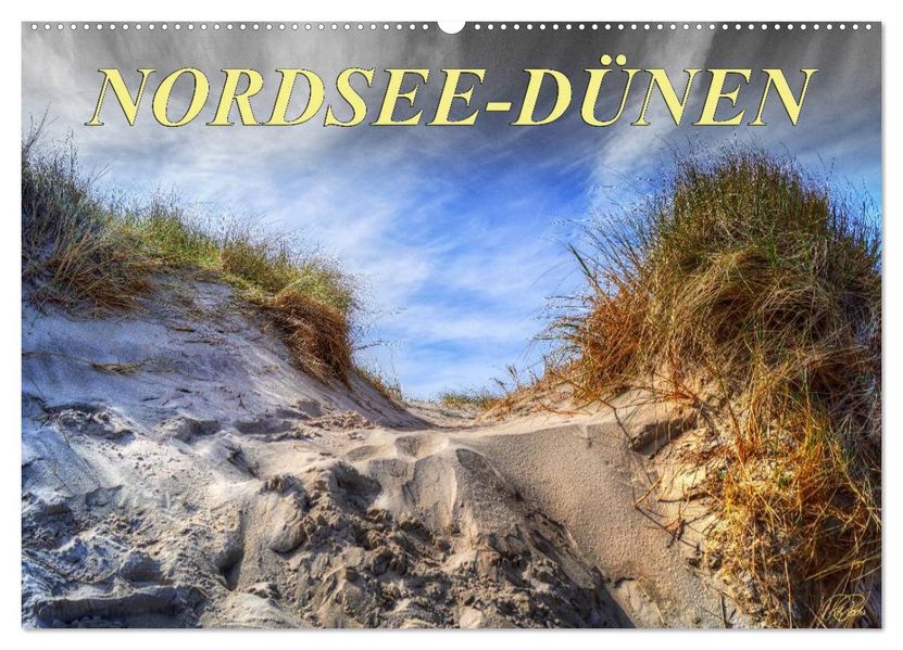 Nordsee-Dünen (Wandkalender 2027 DIN A2 quer) CALVENDO Monatskalender
