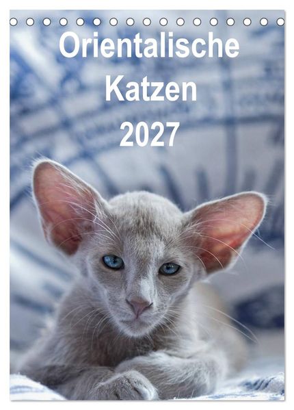 Orientalische Katzen 2027 (Tischkalender 2027 DIN A5 hoch) CALVENDO Monatskalender
