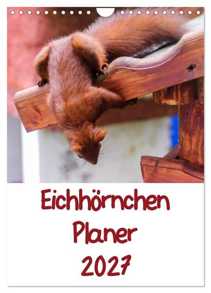 Eichhörnchen Planer 2027 (Wandkalender 2027 DIN A4 hoch) CALVENDO Monatskalender