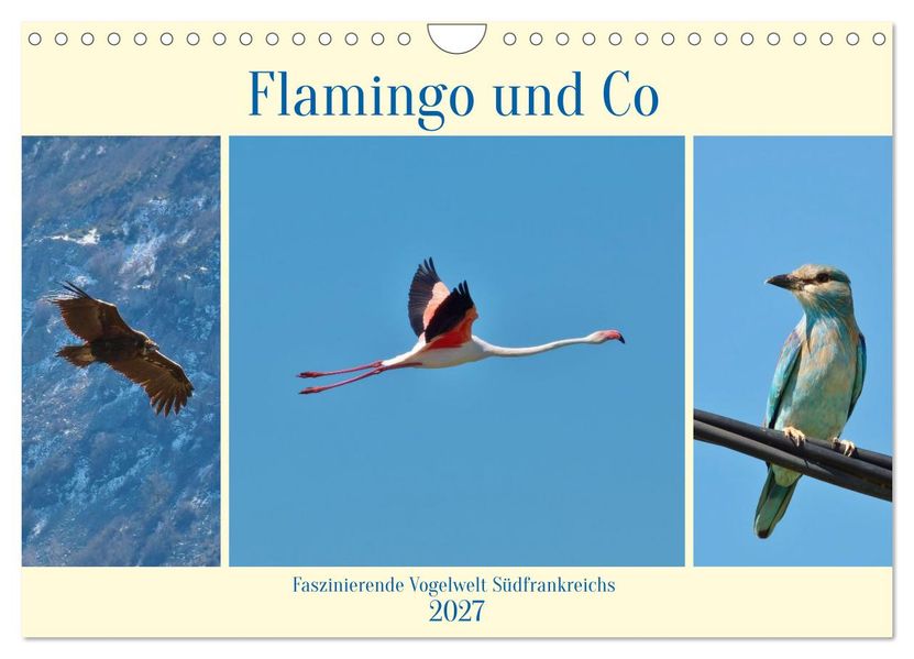 Flamingo und Co - Faszinierende Vogelwelt Südfrankreichs (Wandkalender 2027 DIN A4 quer) CALVENDO Monatskalender