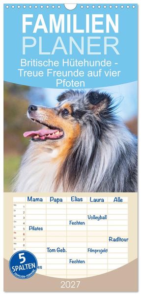 Familienplaner 2027 - Britische Hütehunde - Treue Freunde auf vier Pfoten mit 5 Spalten (Wandkalender 21 x 45 cm) CALVENDO