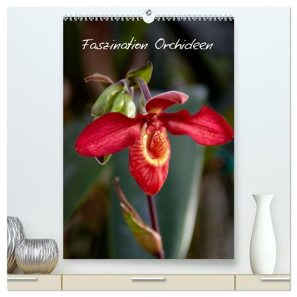 Faszination Orchideen (hochwertiger Premium Wandkalender 2027 DIN A2 hoch) Kunstdruck in Hochglanz