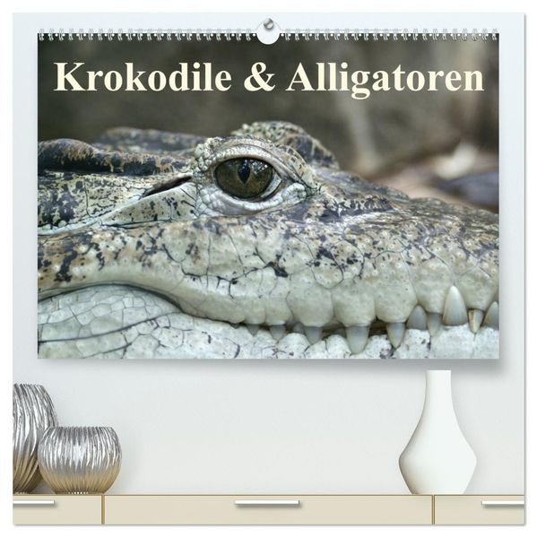 Krokodile & Alligatoren (hochwertiger Premium Wandkalender 2027 DIN A2 quer) Kunstdruck in Hochglanz