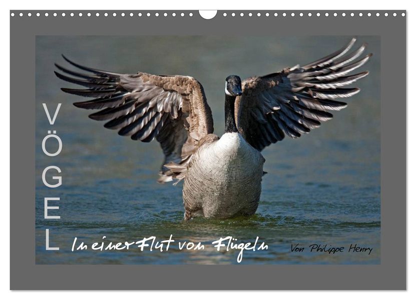 VÖGEL (Wandkalender 2027 DIN A3 quer) CALVENDO Monatskalender