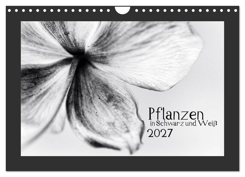 Pflanzen in Schwarz und Weiß (Wandkalender 2027 DIN A4 quer) CALVENDO Monatskalender