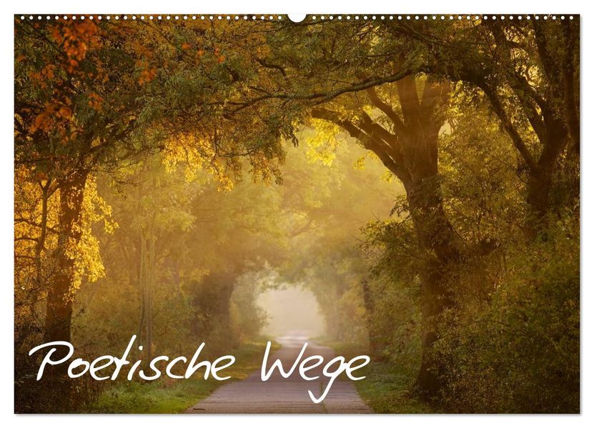 Poetische Wege (Wandkalender 2027 DIN A2 quer) CALVENDO Monatskalender