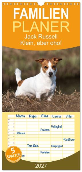 Familienplaner 2027 - Jack Russell - Klein aber oho! mit 5 Spalten (Wandkalender 21 x 45 cm) CALVENDO