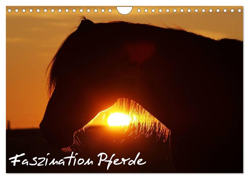 Faszination Pferde (Wandkalender 2027 DIN A4 quer) CALVENDO Monatskalender