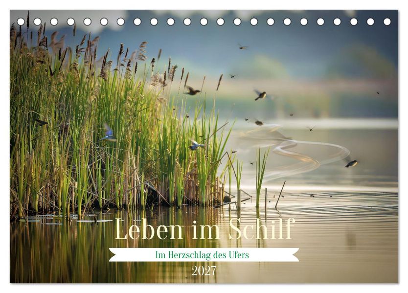 Leben im Schilf (Tischkalender 2027 DIN A5 quer) CALVENDO Monatskalender
