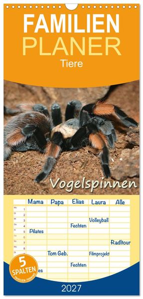 Familienplaner 2027 - Vogelspinnen mit 5 Spalten (Wandkalender 21 x 45 cm) CALVENDO