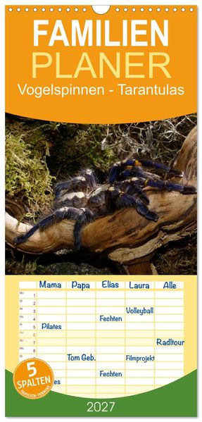 Familienplaner 2027 - Vogelspinnen - Tarantulas mit 5 Spalten (Wandkalender 21 x 45 cm) CALVENDO