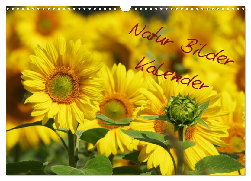 Natur Bilder Kalender (Wandkalender 2027 DIN A3 quer) CALVENDO Monatskalender