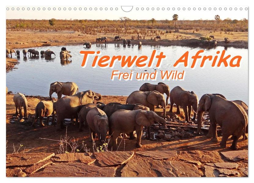 Tierwelt Afrika - Frei und Wild (Wandkalender 2027 DIN A3 quer) CALVENDO Monatskalender