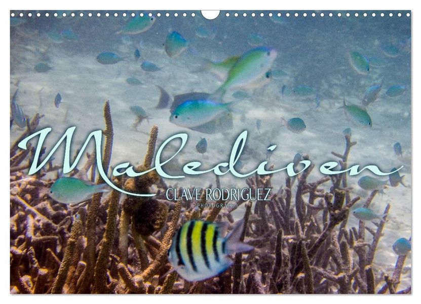 Unterwasserwelt der Malediven III (Wandkalender 2027 DIN A3 quer) CALVENDO Monatskalender