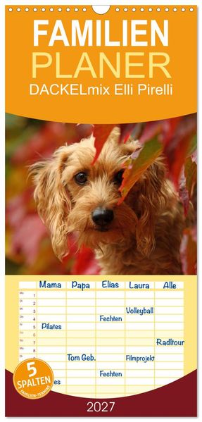 Familienplaner 2027 - DACKELmix Elli Pirelli mit 5 Spalten (Wandkalender 21 x 45 cm) CALVENDO