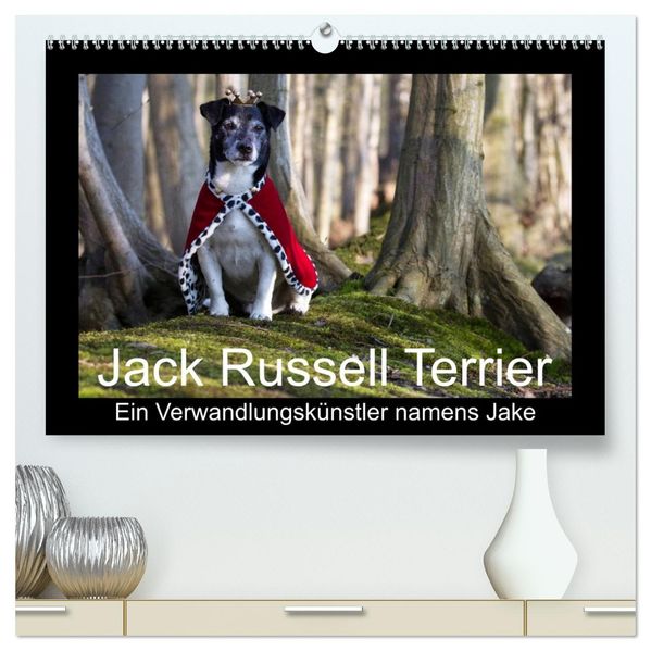 Jack Russell Terrier.....Ein Verwandlungskünstler namens Jake (hochwertiger Premium Wandkalender 2027 DIN A2 quer) Kunstdruck in Hochglanz