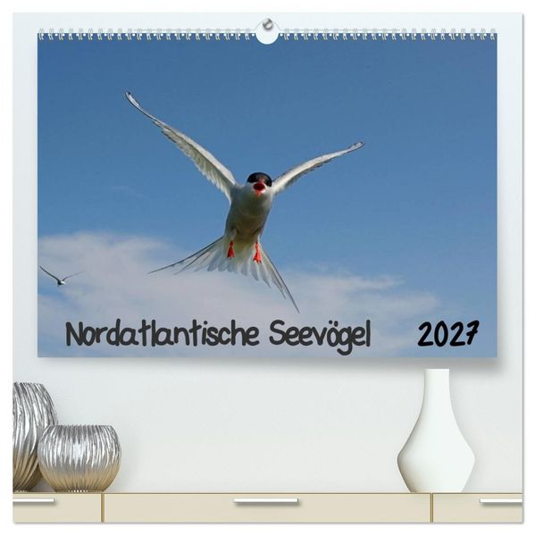 Nordatlantische Seevögel (hochwertiger Premium Wandkalender 2027 DIN A2 quer) Kunstdruck in Hochglanz
