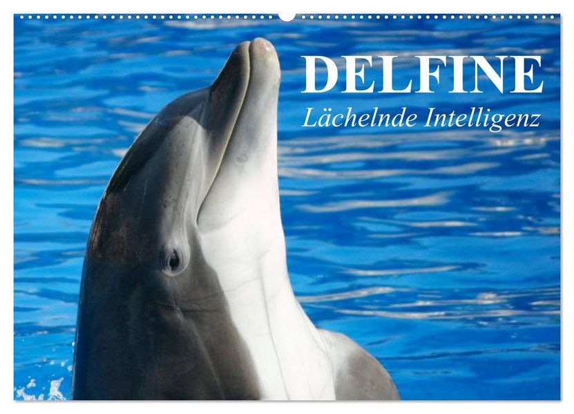 Delfine - Lächelnde Intelligenz (Wandkalender 2027 DIN A2 quer) CALVENDO Monatskalender