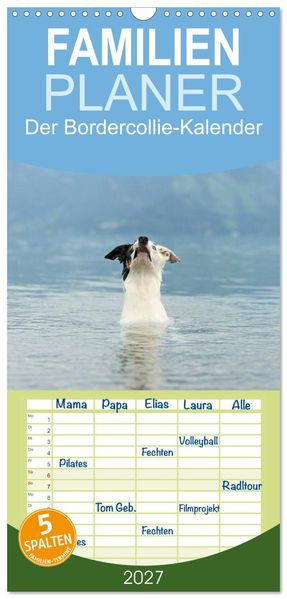 Familienplaner 2027 - Der Bordercollie-Kalender mit 5 Spalten (Wandkalender 21 x 45 cm) CALVENDO