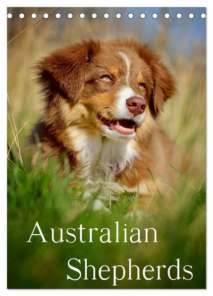 Australian Shepherds (Tischkalender 2027 DIN A5 hoch) CALVENDO Monatskalender