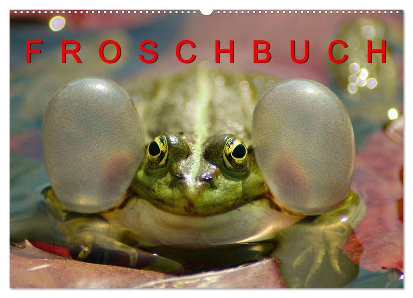 FROSCHBUCH (Wandkalender 2027 DIN A2 quer) CALVENDO Monatskalender