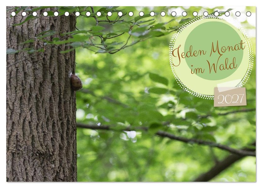 Jeden Monat im Wald (Tischkalender 2027 DIN A5 quer) CALVENDO Monatskalender