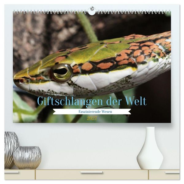 Giftschlangen der Welt (hochwertiger Premium Wandkalender 2027 DIN A2 quer) Kunstdruck in Hochglanz