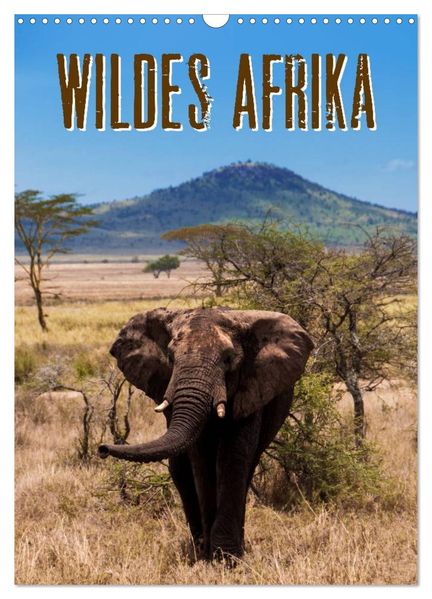 Wildes Afrika (Wandkalender 2027 DIN A3 hoch) CALVENDO Monatskalender