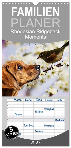 Familienplaner 2027 - Rhodesian Ridgeback - Moments mit 5 Spalten (Wandkalender 21 x 45 cm) CALVENDO