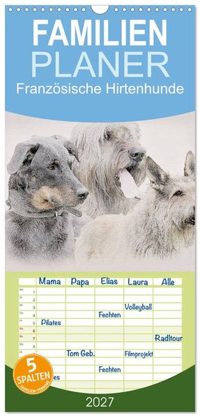 Familienplaner 2027 - Französische Hirtenhunde 2027 mit 5 Spalten (Wandkalender 21 x 45 cm) CALVENDO