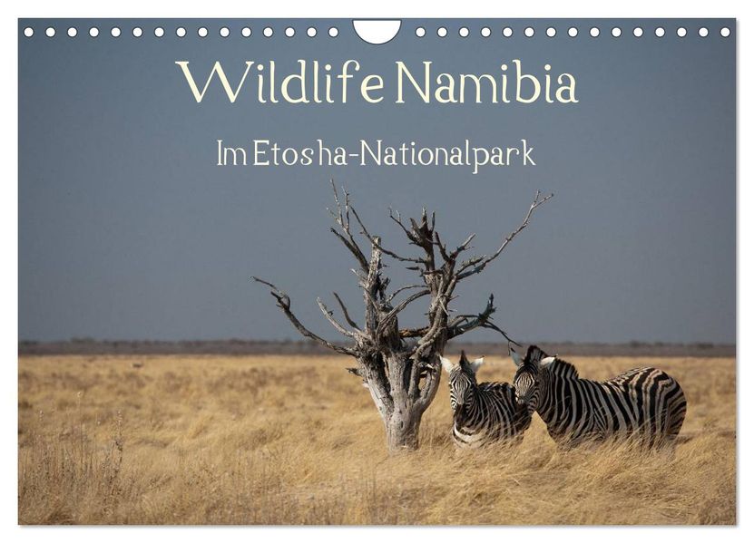 Wildlife Namibia (Wandkalender 2027 DIN A4 quer) CALVENDO Monatskalender