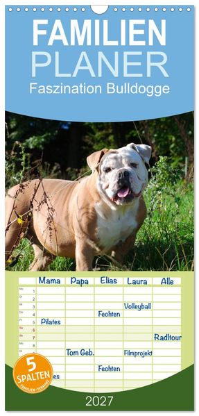 Familienplaner 2027 - Faszination Bulldogge mit 5 Spalten (Wandkalender 21 x 45 cm) CALVENDO