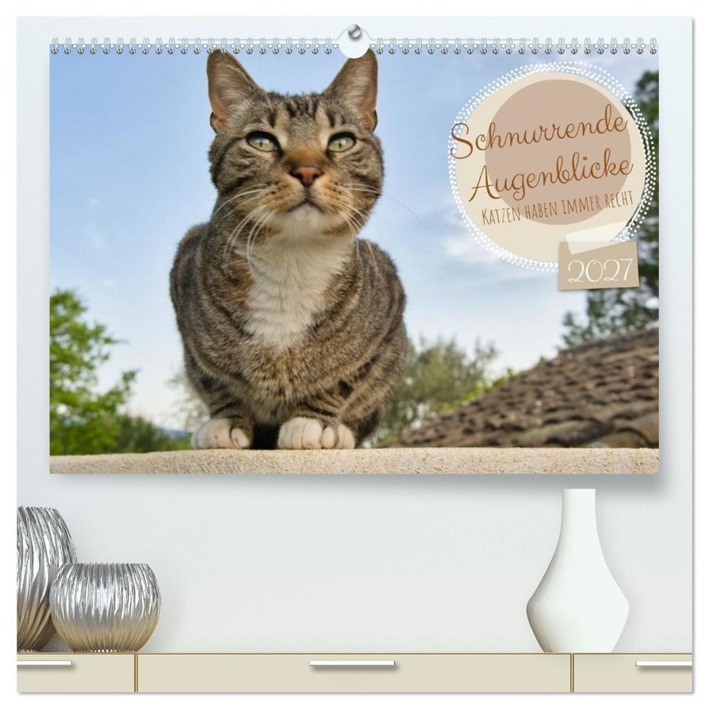 Schnurrende Augenblicke (hochwertiger Premium Wandkalender 2027 DIN A2 quer) Kunstdruck in Hochglanz