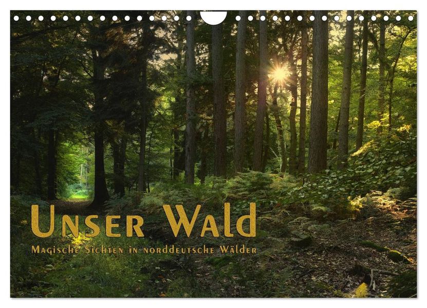 Unser Wald - Magische Sichten in norddeutsche Wälder / Geburtstagskalender (Wandkalender 2027 DIN A4 quer) CALVENDO Monatskalender