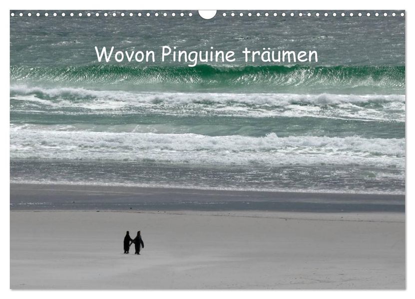 Wovon Pinguine träumen (Wandkalender 2027 DIN A3 quer) CALVENDO Monatskalender