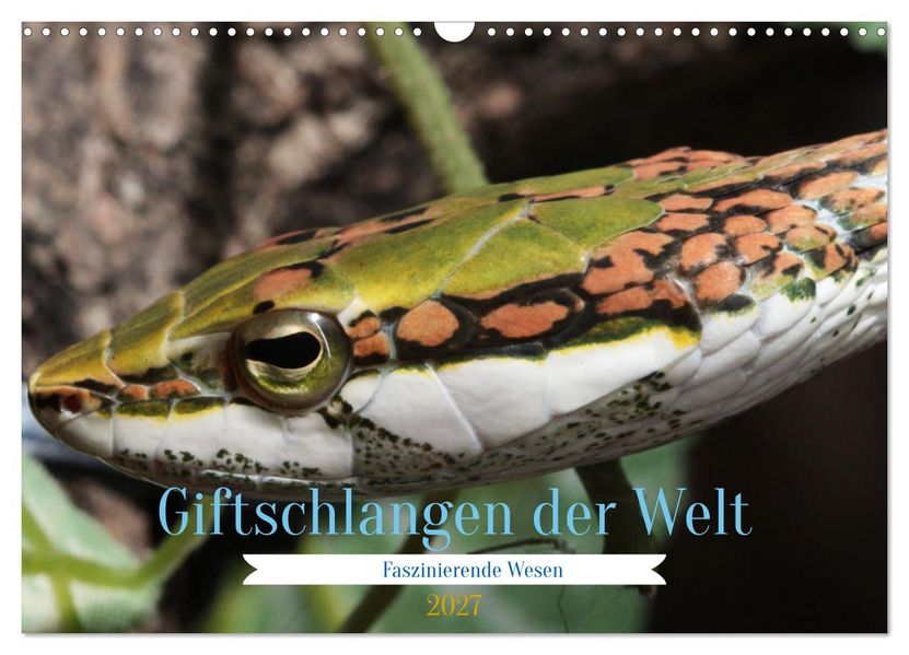 Giftschlangen der Welt (Wandkalender 2027 DIN A3 quer) CALVENDO Monatskalender