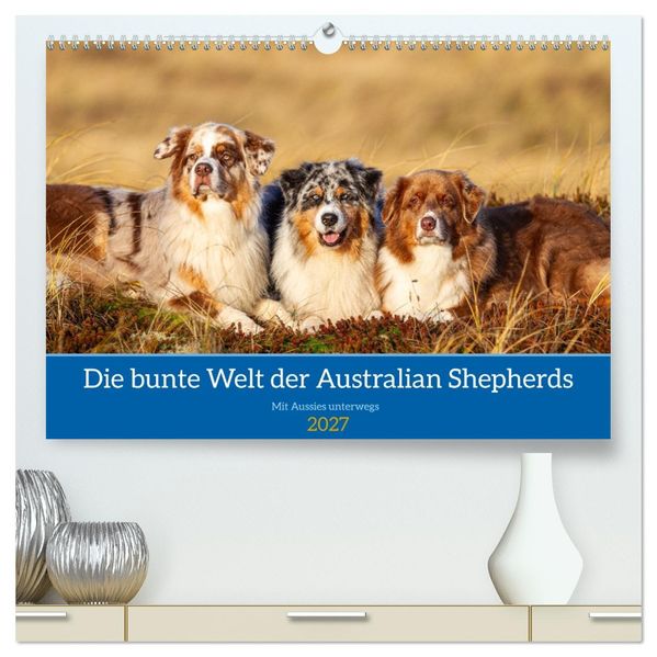 Mit Aussies unterwegs - Die bunte Welt der Australian Shepherds (hochwertiger Premium Wandkalender 2027 DIN A2 quer) Kunstdruck in Hochglanz
