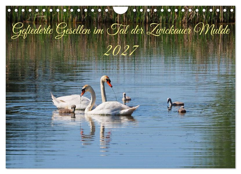 Gefiederte Gesellen im Tal der Zwickauer Mulde (Wandkalender 2027 DIN A4 quer) CALVENDO Monatskalender