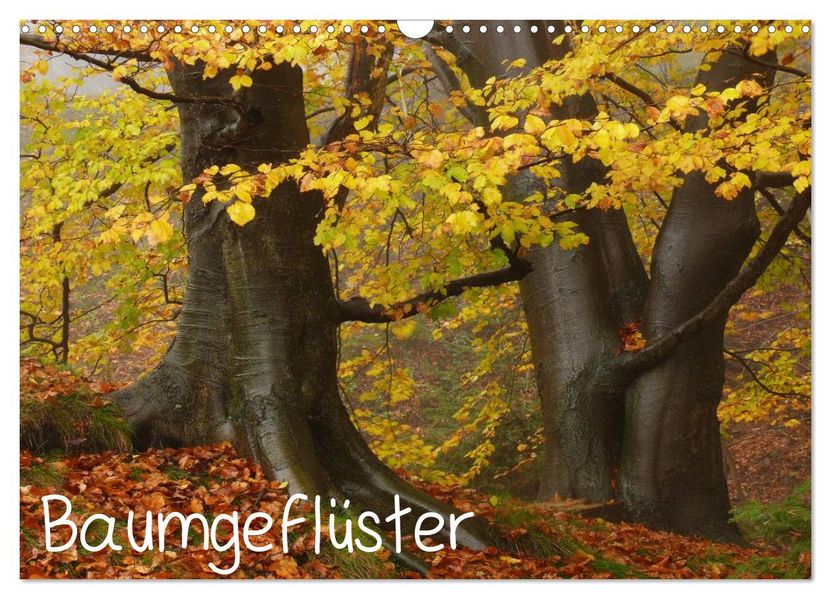 Baumgeflüster (Wandkalender 2027 DIN A3 quer) CALVENDO Monatskalender