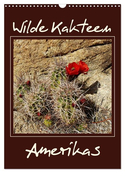 Wilde Kakteen Amerikas (Wandkalender 2027 DIN A3 hoch) CALVENDO Monatskalender