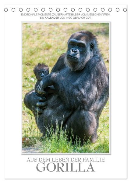 Emotionale Momente: Aus dem Leben der Familie Gorilla. (Tischkalender 2027 DIN A5 hoch) CALVENDO Monatskalender